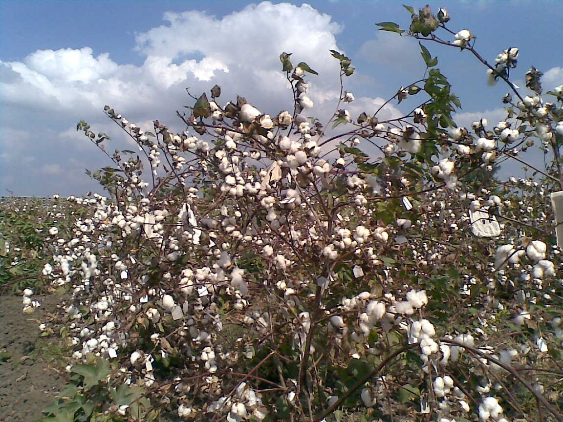 IMG-20240308-WA0011