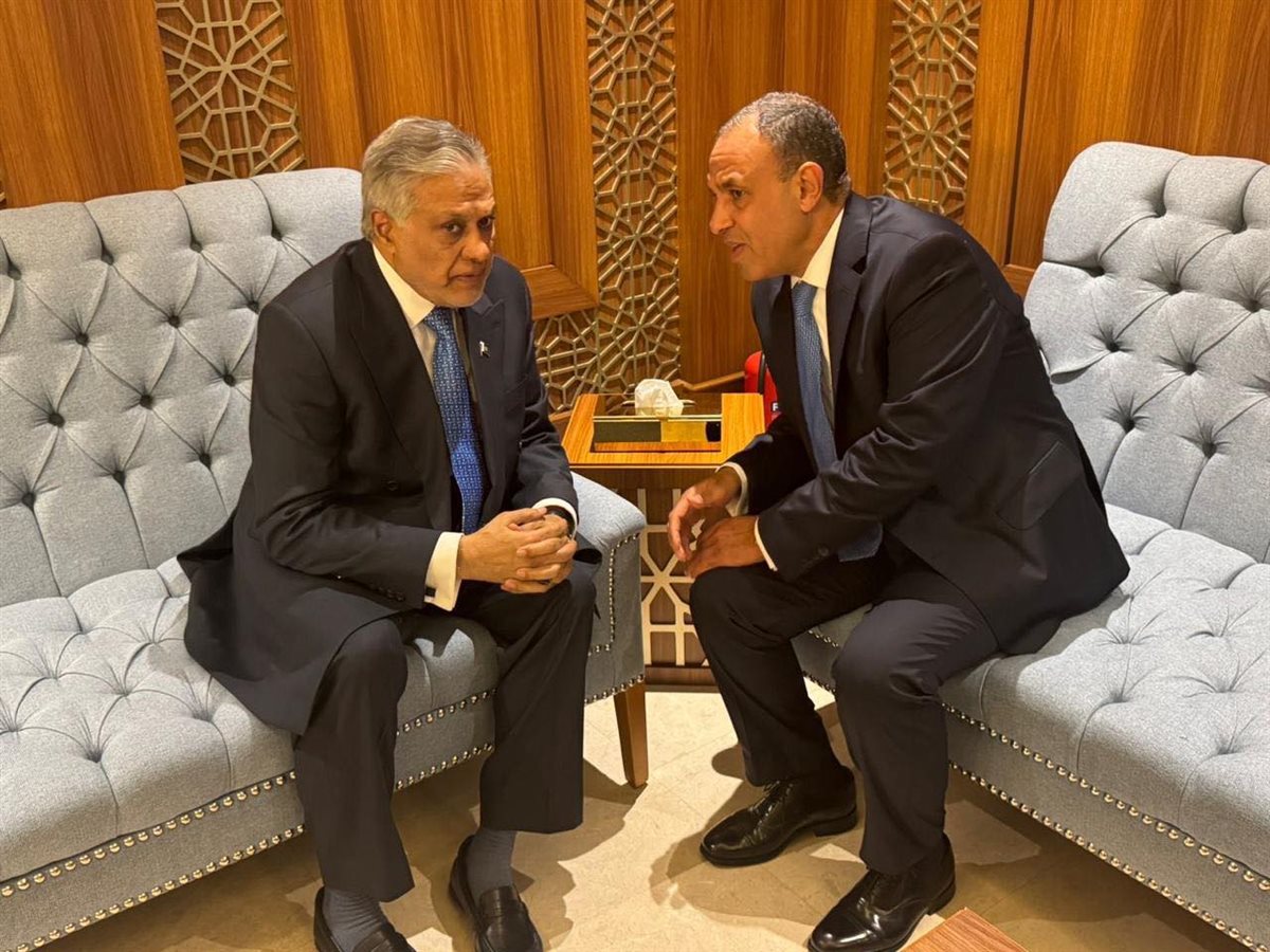 عبد العاطي ونظيره الباكستاني&nbsp;