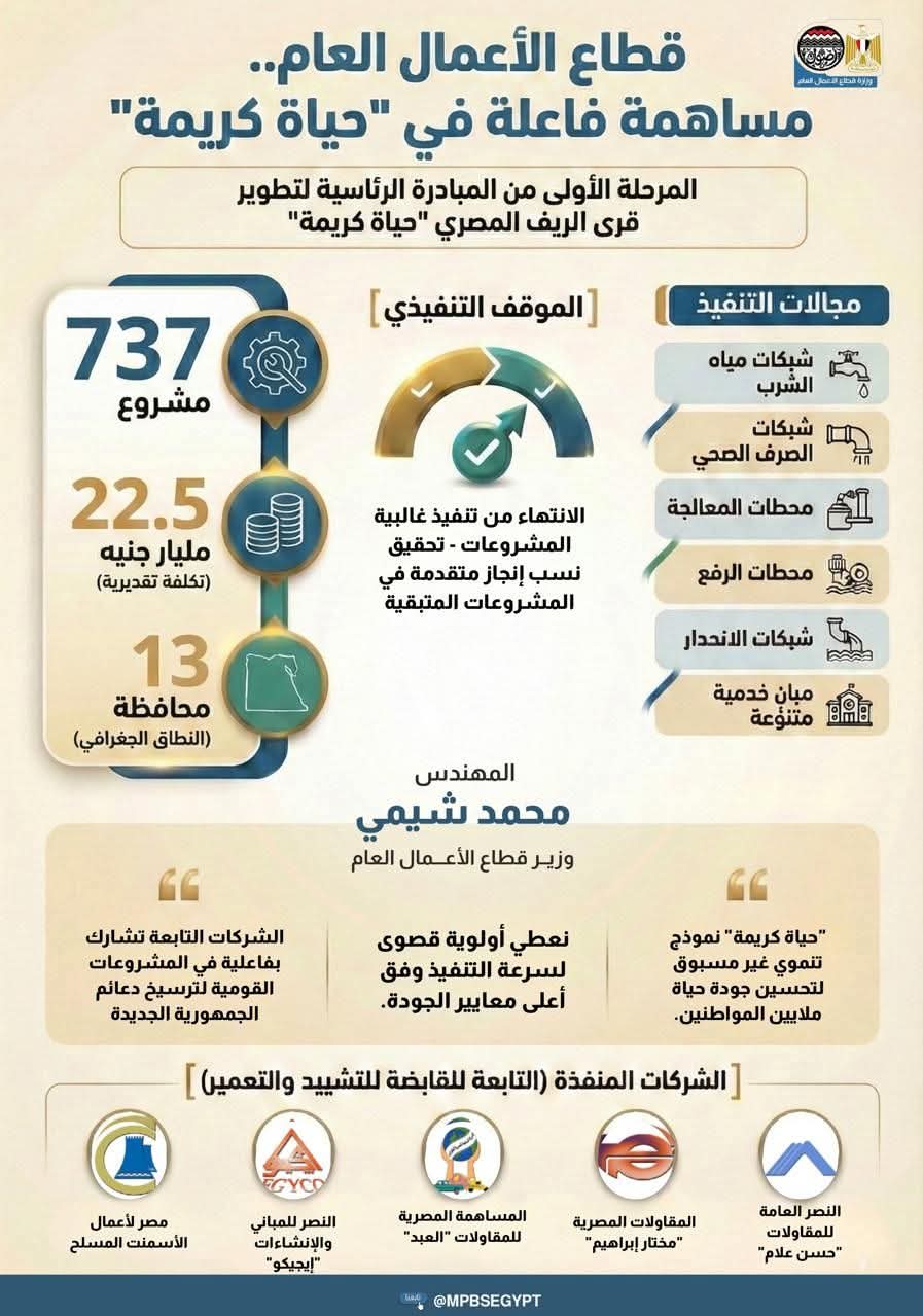 بالإنفوجراف.. شركات وزارة قطاع الأعمال العام تنفذ 737 مشروعًا ضمن مبادرة 