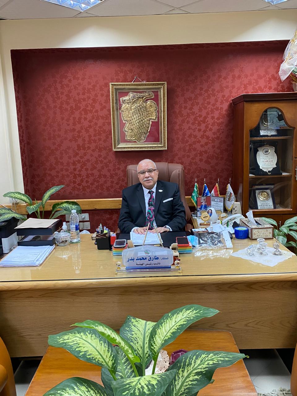 المستشار طارق بدر