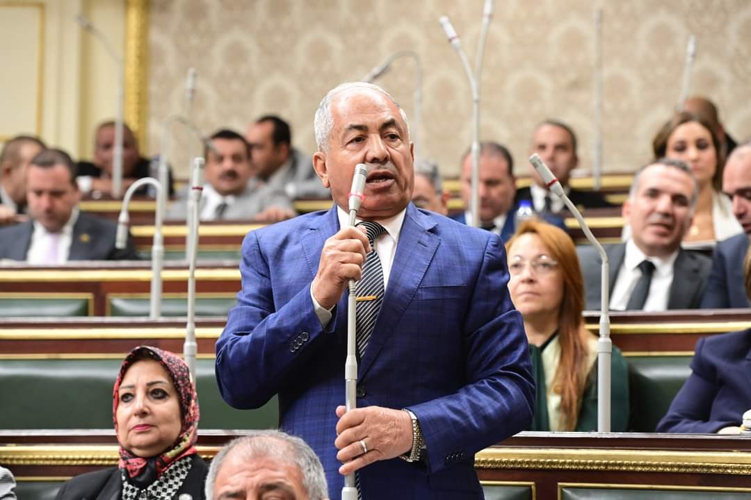 أعضاء مجلس النواب المصري