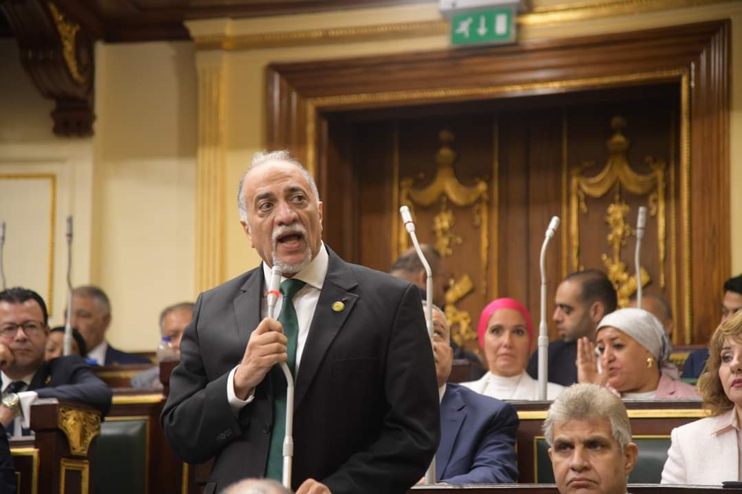 أعضاء مجلس النواب المصري