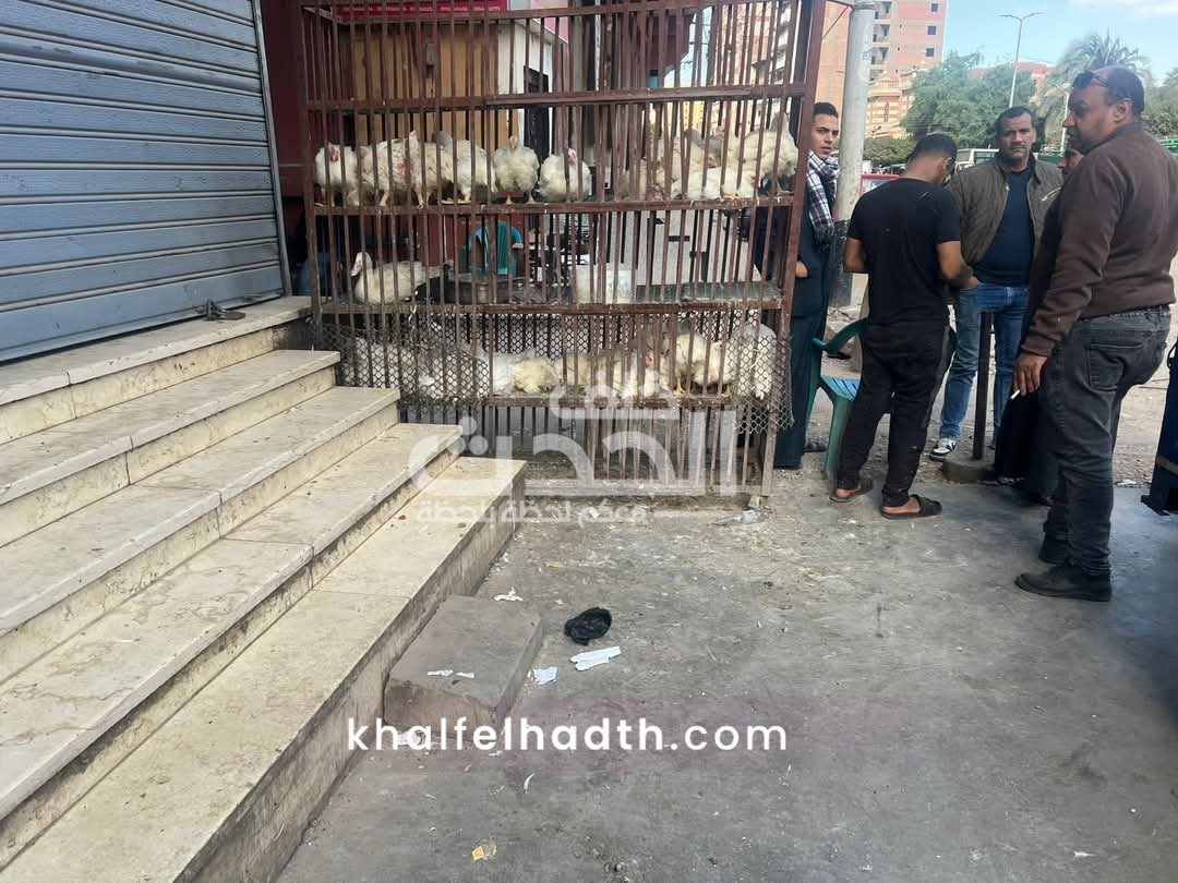 حملات مكثفة لضبط الأسواق بأسيوط 