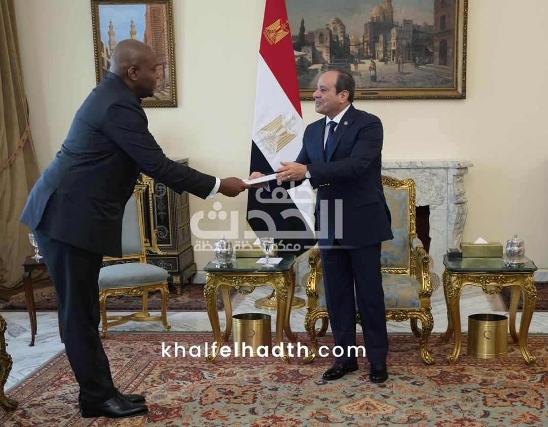 السيسي يتلقى رسالة من رئيس الكونغو 