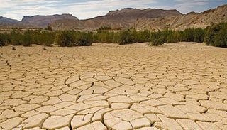 78-170117-desertification-human-environment_700x400