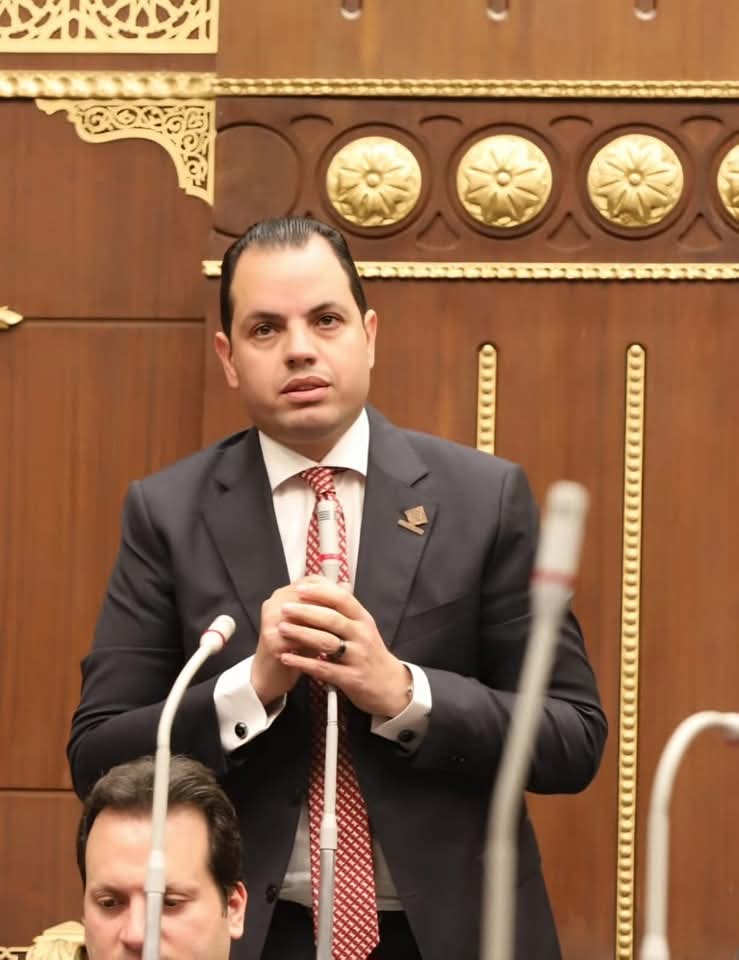 النائب أحمد فوزي عبد الكريم، عضو مجلس الشيوخ