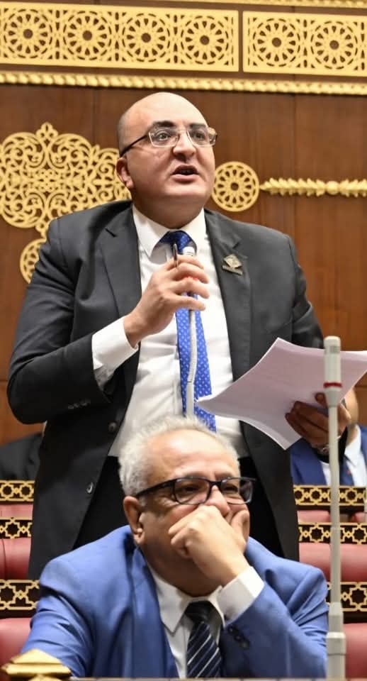 النائب عمرو عزت حجاج عضو مجلس الشيوخ  