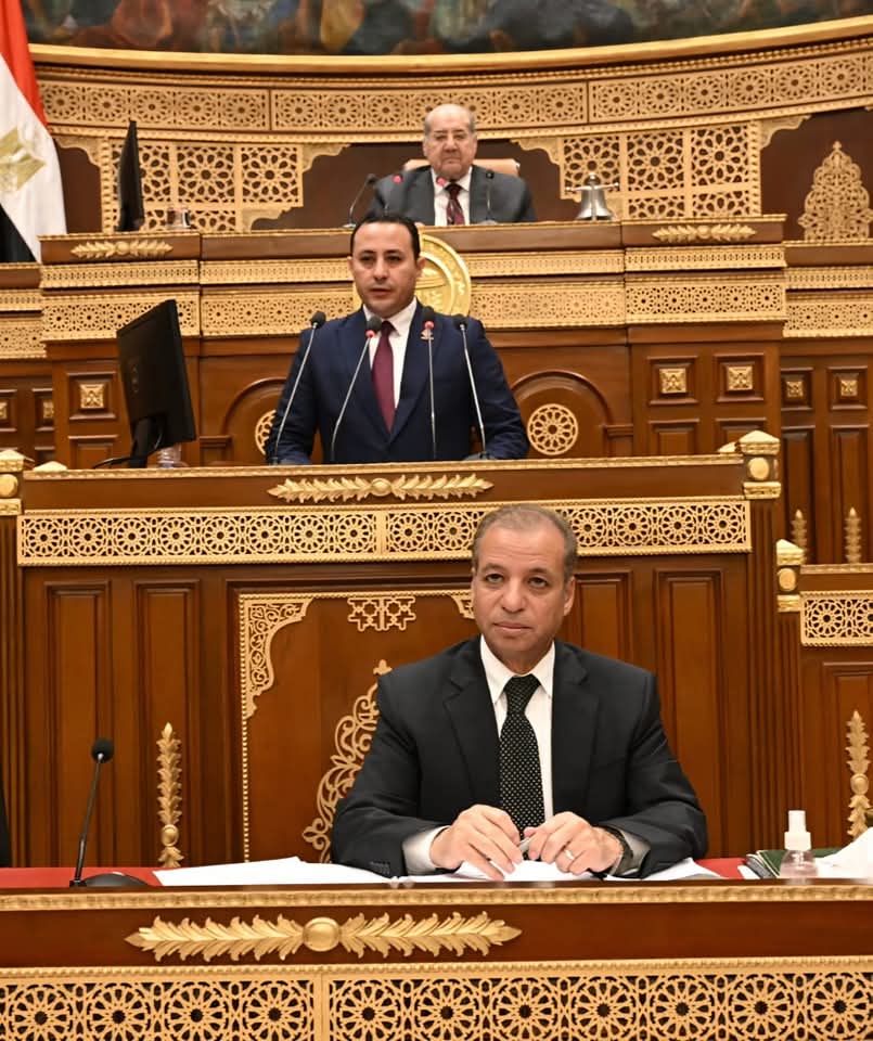 نائب التنسيقية عمرو نبيل