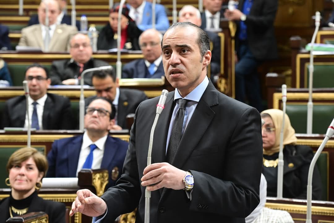 المستشار محمود فوزي 