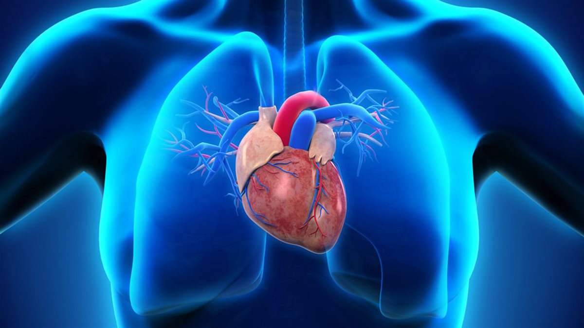 a_30stk_azar_silent_heart_151223