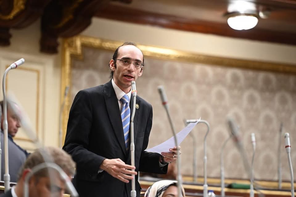 نواب تنسيقية شباب الأحزاب والسياسيين 