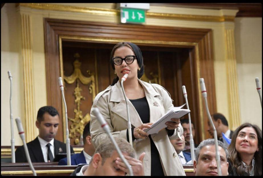 نواب تنسيقية شباب الأحزاب والسياسيين 