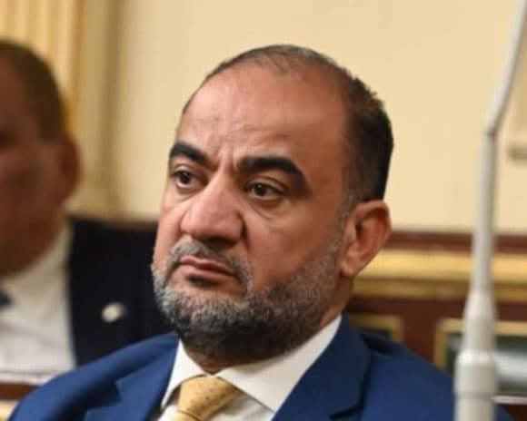 النائب حاتم عبد العزيز 