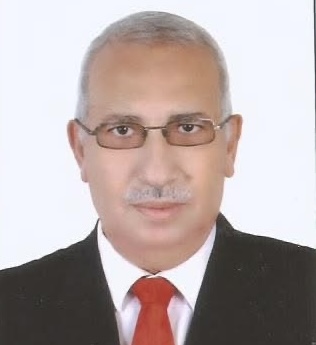 د. عادل عامر