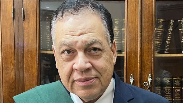 القاضي على فرجاني