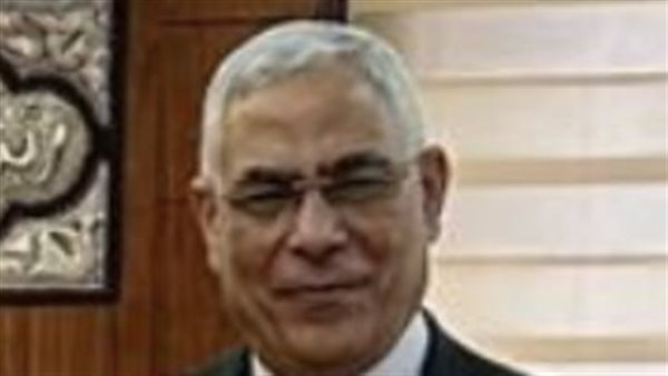 المستشار محمد شوقي