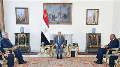 السيسي يحذر من العواقب الوخيمة للتصعيد في قطاع غزة أمنيا وسياسيا