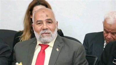 رئيس العدالة الاجتماعية : رسائل الرئيس بإفطار الأسرة المصرية انتصار للمواطن والوطن