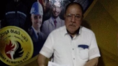 نصر الدين يقود حمله توكيلات السيسي في جنوب القاهره