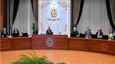مجلس الوزراء يوافق على 1600 جنيه سعراً استرشادياً لتوريد أردب القمح