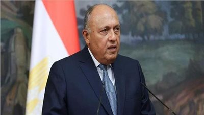 وزير الخارجية لنظيره الأمريكي: مصر تدعو للوقف الفوري لإطلاق النار في غزة