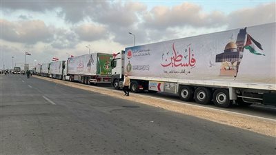 شيخ الأزهر يوجه بتسيير قافلة إلى غزة تضم 18 شاحنة محملة بالأدوية