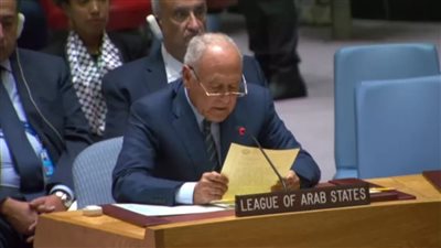 أبو الغيط: هجوم إسرائيل على جوتيريش هدفه الابتزاز الأخلاقي والسياسي