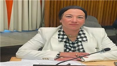 نيابة عن السيسي.. وزيرة البيئة تشارك في «قمة برازافيل للتنوع البيولوجي»