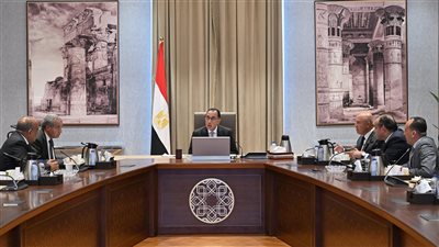 رئيس الوزراء: الدولة مهتمة بالتبادل التجاري مع بلدان القارة الإفريقية 