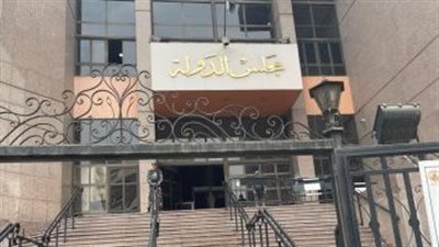الإدارية العليا تتلقى 29 طعناً على نتائج 19 دائرة ملغاة بالمرحلة الأولى لانتخابات النواب 2025
