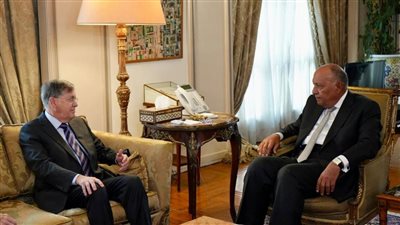 وزير الخارجية للمبعوث الأمريكي: قطاع غزة يشهد كارثة إنسانية