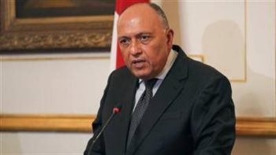 شكري يؤكد ضرورة إنفاذ هدنة إنسانية فورية في قطاع غزة