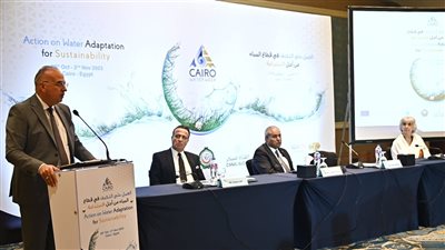 وزير الري يشارك فى جلسة 