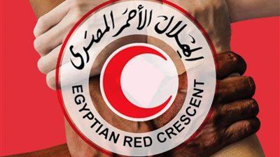 الهلال المصري يسلم نظيره الفلسطيني ٩٣ شاحنة مساعدات إلى غزة