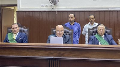في جريمة ثأر بالقناطر.. المشدد للشقيقين 