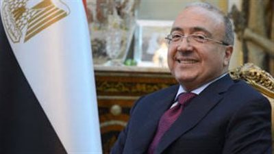 السفير عبد الرحمن صلاح: التهجير القسري للفلسطينيين جريمة حرب