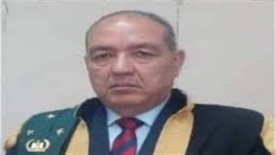 الصيدلانية خلعت المحامي.. فحاصرها بالأحكام المزورة