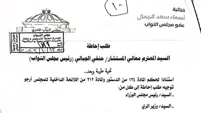 النائبة أسماء الجمال تتقدم بطلب إحاطة لتطهير نهر النيل وجزره بمحيط الصف