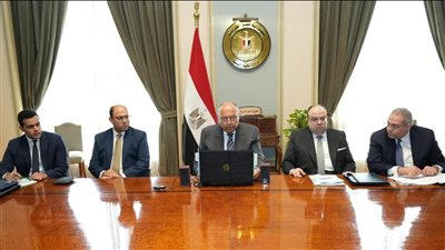 وزير الخارجية يؤكد ضرورة التوصل لوقف شامل ومستدام لإطلاق النار