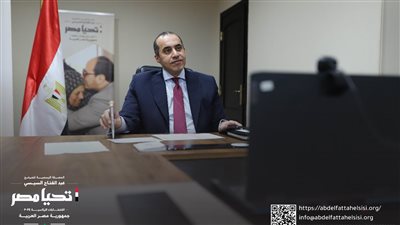 الحملة الرسمية للمرشح الرئاسي عبد الفتاح السيسي تستمر في التقاء المصريين بالخارج