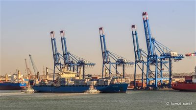 ميناء دمياط البحري  يتداول 31 سفينة للحاويات والبضائع العامة