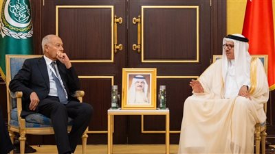 أبو الغيط يجري مباحثات مع وزراء البحرين وبريطانيا وأرمينيا والممثل الأعلى للسياسة الخارجية الأوروبية