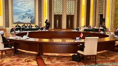 سامح شكري يلتقي نائب الرئيس الصيني ووزير الخارجية في بكين
