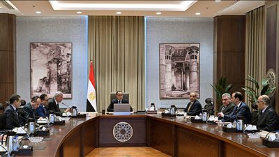 رئيس الوزراء يشهد عبر الفيديو كونفرانس افتتاح ٥ فروع لصيدليات 