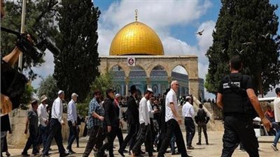 960 مستوطنا يقتحمون المسجد الأقصى المبارك
