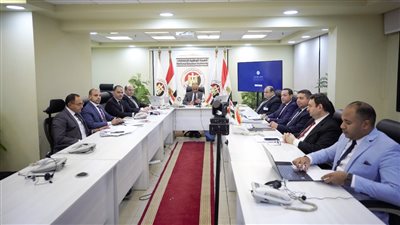 تصويت المصريين في انتخابات الرئاسة بدأ في نيوزيلندا