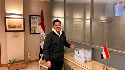 المصريون يتوجهون لصناديق الاقتراع بكوريا الجنوبية.
