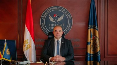 الرقابة المالية تصدر قرارا لإتاحة وتنظيم استخدام الأنظمة الالكترونية 