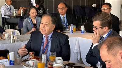 وزير المالية: التحديات البيئية من أكبر المعوقات فى مسيرة التنمية الشاملة والمستدامة