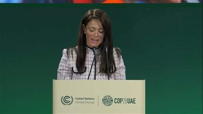 المشاط: المرأة من أكثر الفئات تضررًا بالتداعيات السلبية للتغيرات المناخية
